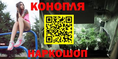 Альфа ПВП Бийск