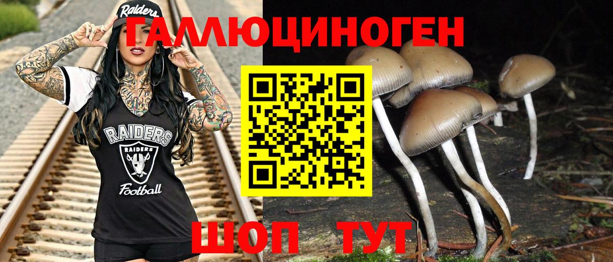 Ишимбай  Псилоцибиновые грибы Psilocybine cubensis  Вход с VPN 